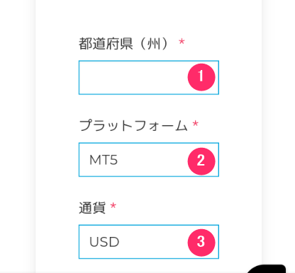 Exclusive Markets　スマホ　口座開設３